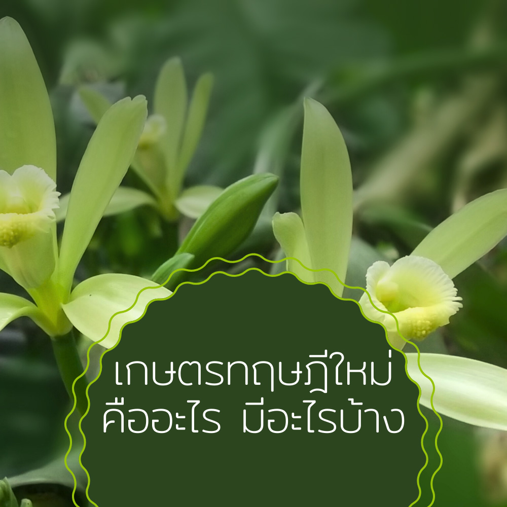 เกษตรทฤษฎีใหม่