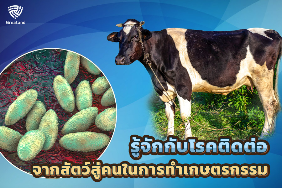 1.รู้จักกับโรคติดต่อจากสัตว์สู่คนในการทำเกษตรกรรม