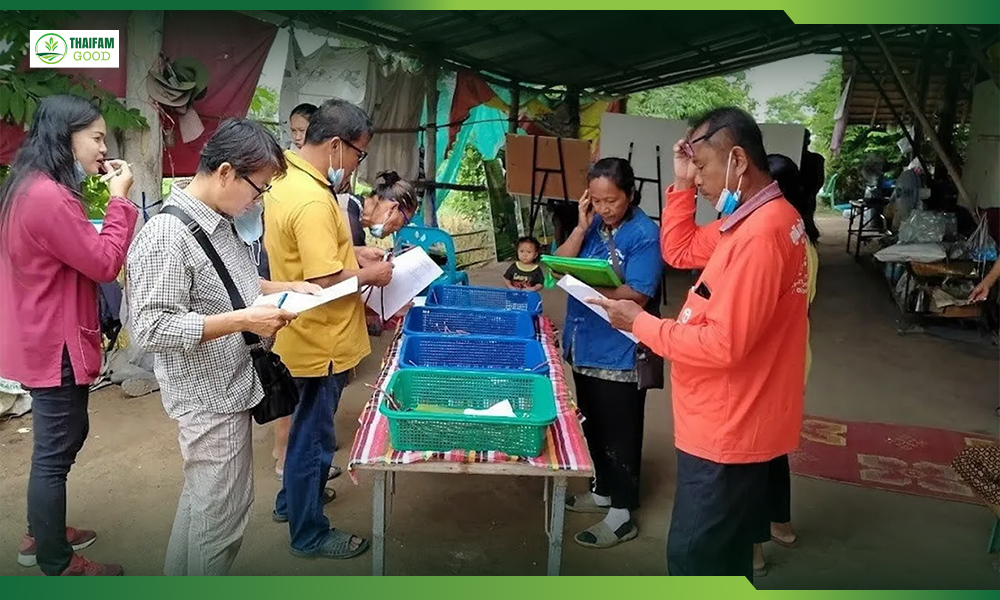 3.ถั่วฝักยาวสีม่วงพันธุ์ใหม่ คุณค่าทางโภชนาการสารต้านอนุมูลอิสระสูง