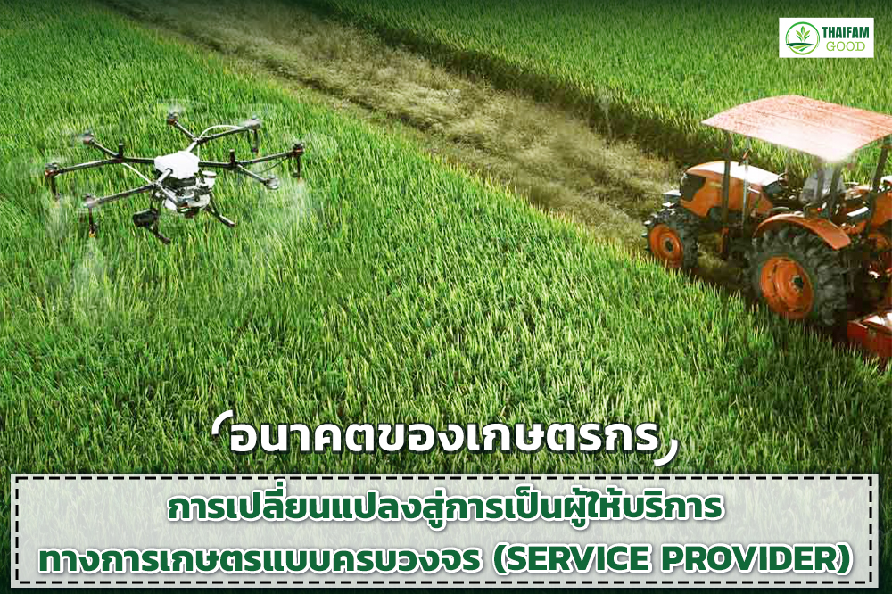 1.ผู้ให้บริการทางการเกษตรแบบครบวงจร (Service Provider)